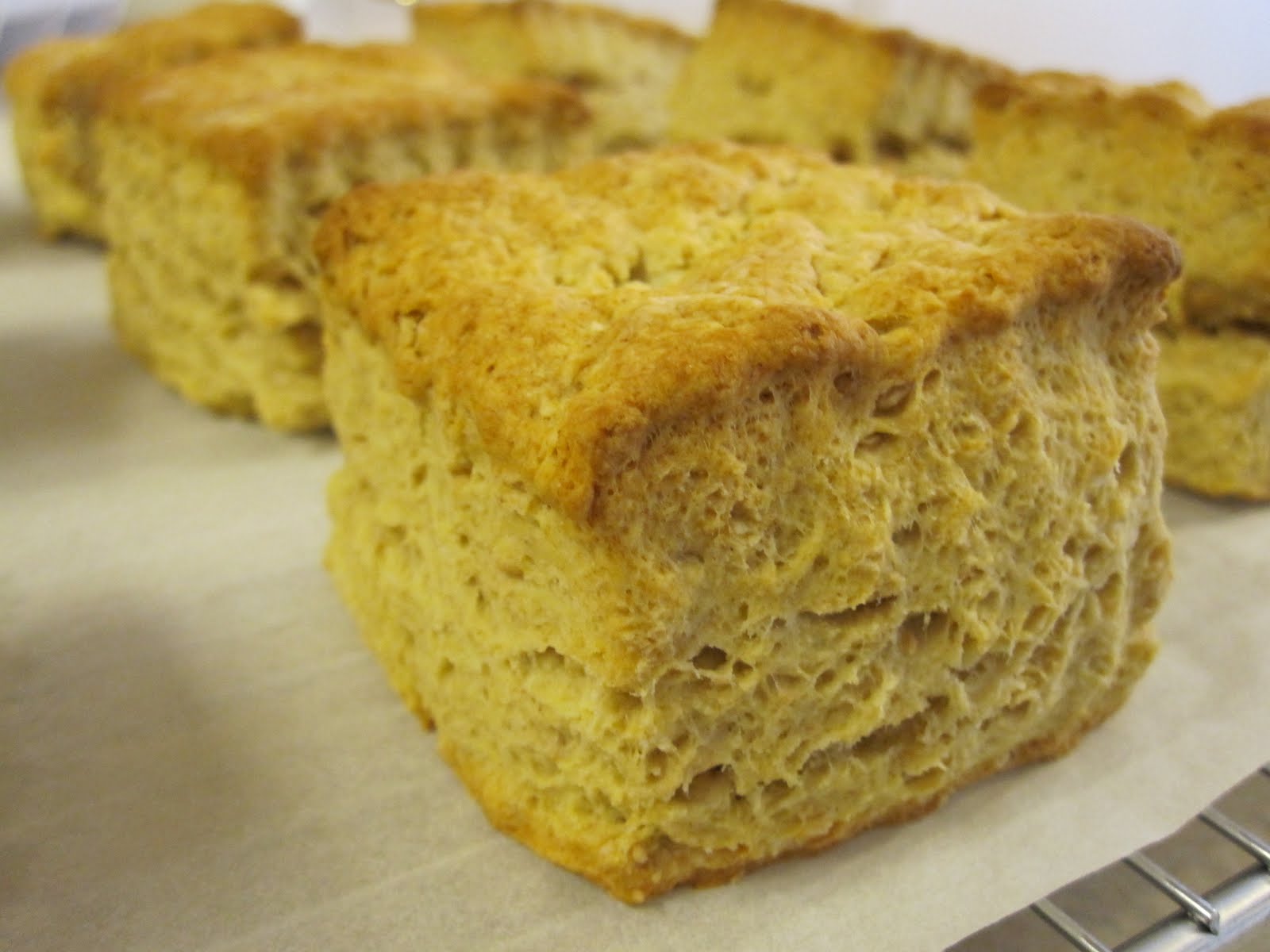 Yummy YooHoo! Peanut Butter Biscuits