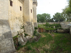 Chateau in Tarragon