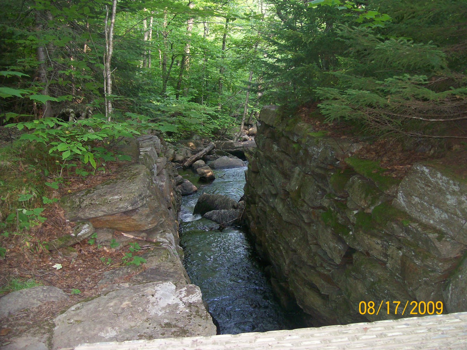 [08172009+029.jpg]