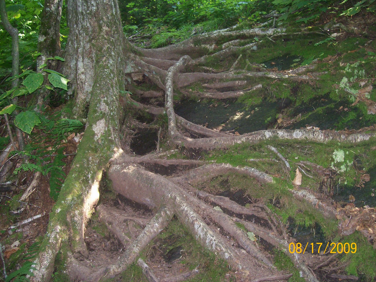 [08172009+023.jpg]