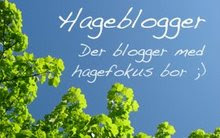 Norske hageblogger