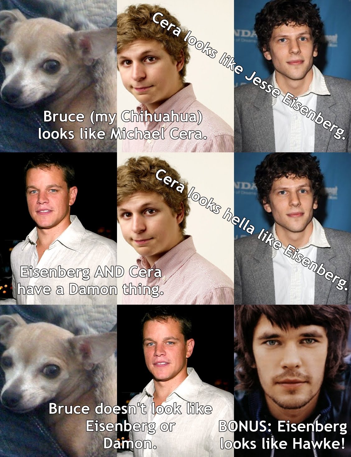 My Chihuahua Looks Like Michael Cera chihuahua teeth diagram 