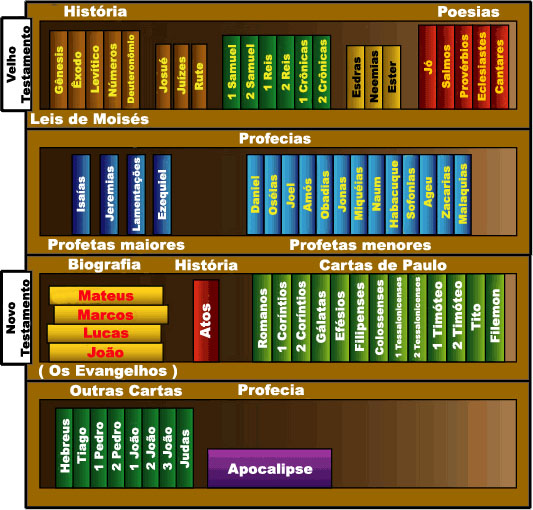catequese infantil São josé Operário. divisao