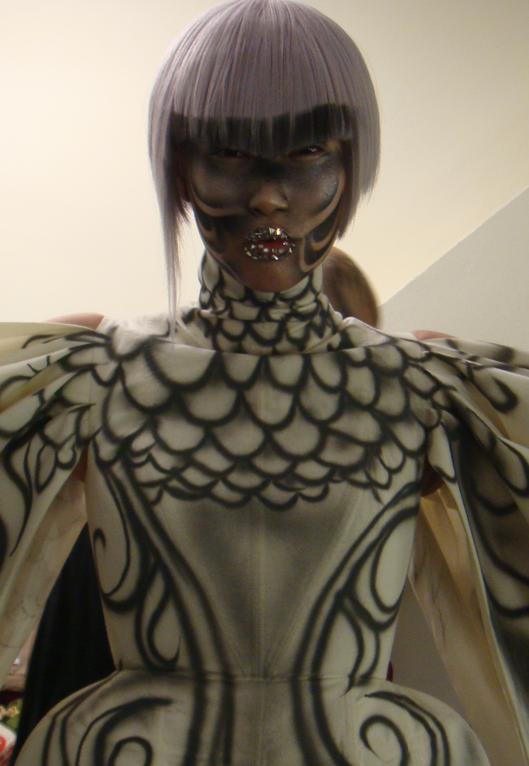 [DSC00811.JPG]