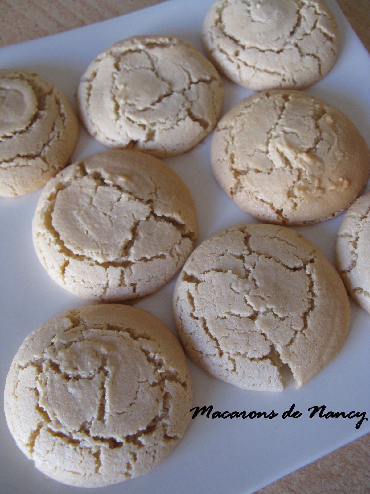 [Macarons+de+Nancy+des+Soeurs+Macarons_011.jpg]