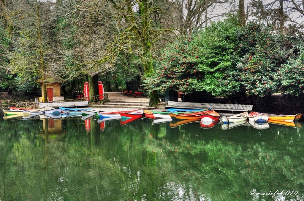 [DSC_0274_2_3-4.jpg]