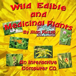 Wild Edible and Medicinal Plant Interactive Computer  CD by Alan Russo