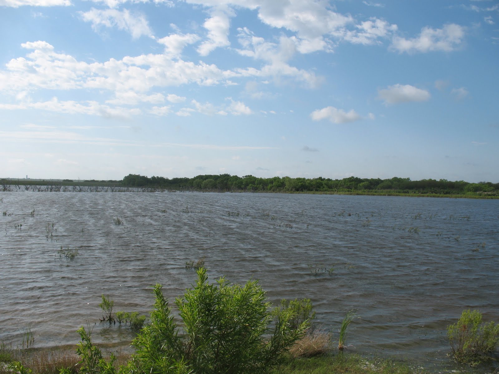 Doing It On The Road Back to Choke Canyon State Park