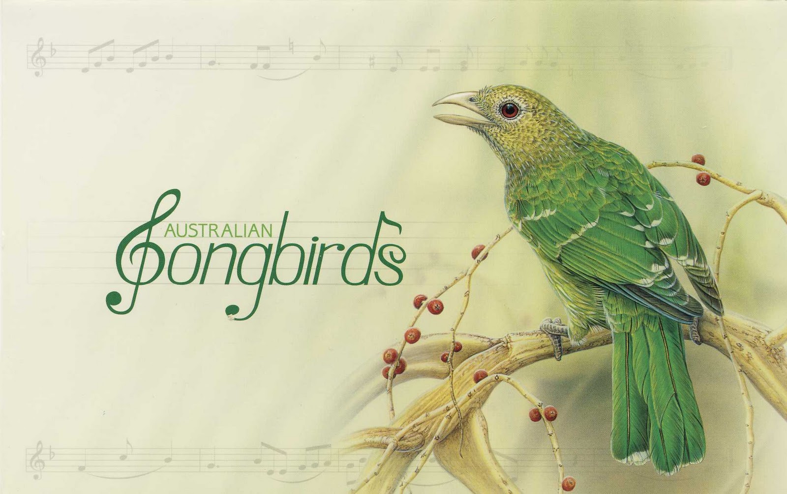 Birds theme. Songbirds Workbooks.