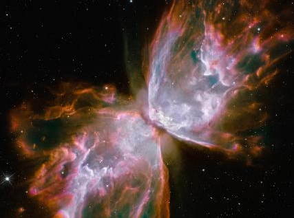 Butterfly NASA Hubble