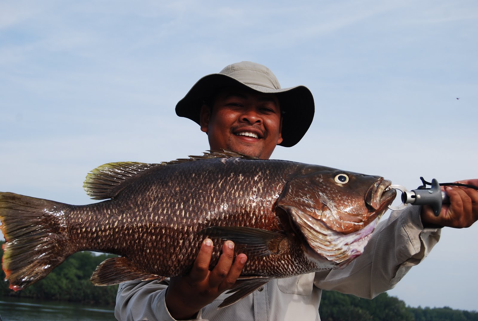 блэк сабах. сабвуфер активный blak harricane урал 12. обман блэк раша. как установить сабвуфер в блэк раша. Subwoofer black a310.