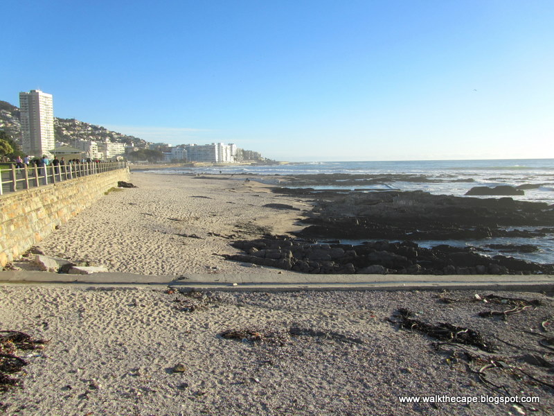 Walking the Cape: Sea Point Prom: Lawn, Palms & Sea