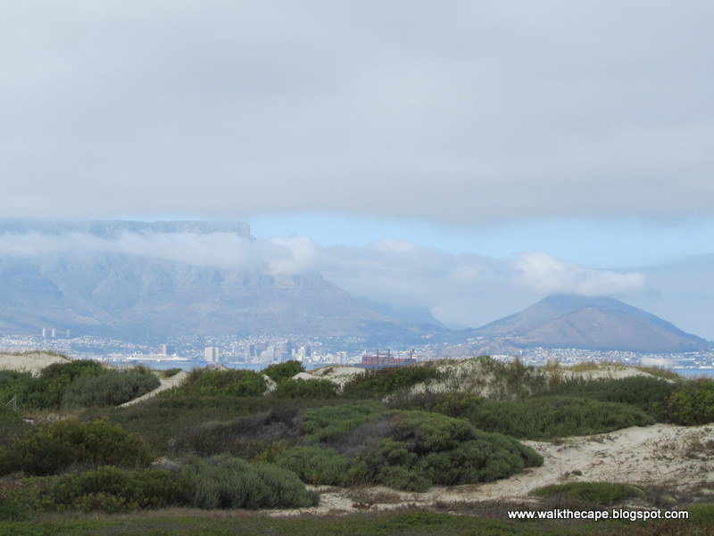 Walking the Cape Dolphin Beach, Blouberg & Big Bay