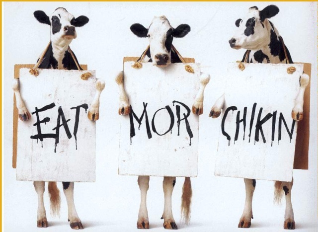 [eat_more_chicken.sized.jpg]