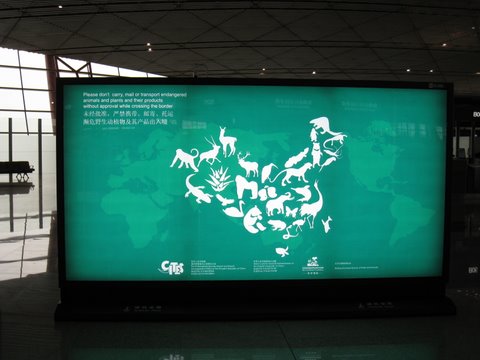 [IMG_0021-737092.JPG]