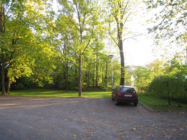 [IMG_0051-714507.JPG]