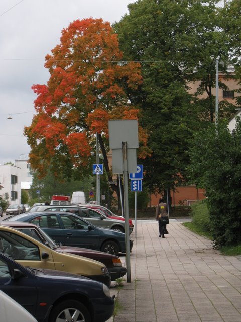 [IMG_0006-756659.JPG]