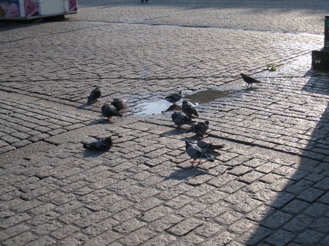 [IMG_0017-745090.JPG]