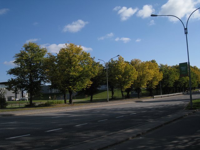 [IMG_0031-705910.JPG]