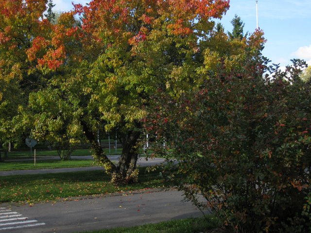 [IMG_0035-708609.JPG]