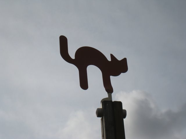 [IMG_0018-769993.JPG]