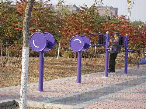 [IMG_0376-786185.JPG]