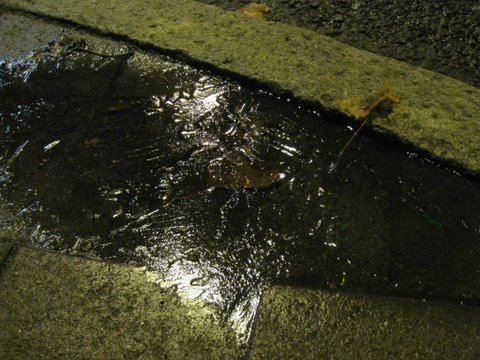 [IMG_0002-711272.JPG]