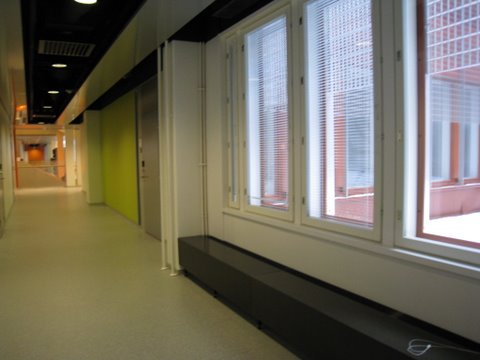 [IMG_0381-760774.JPG]