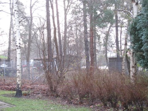 [IMG_0933-713840.JPG]