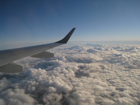 [IMG_0962-704381.JPG]