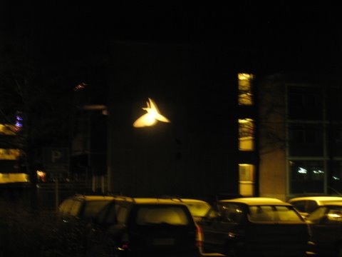 [IMG_1077-789007.JPG]