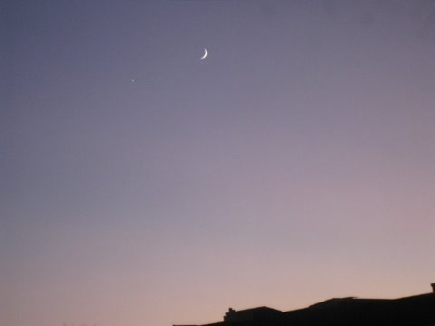 [IMG_1074-747556.JPG]