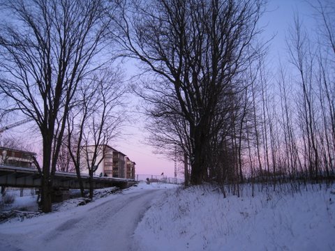 [IMG_1193-755069.JPG]