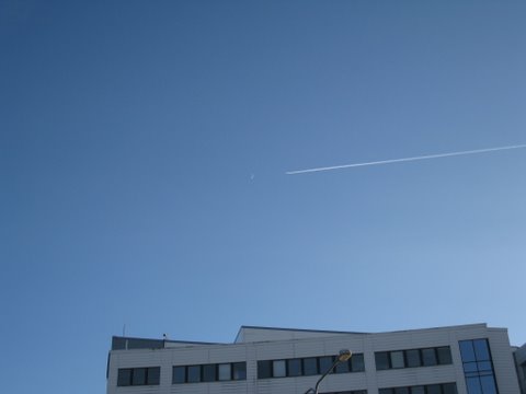 [IMG_1186-753290.JPG]