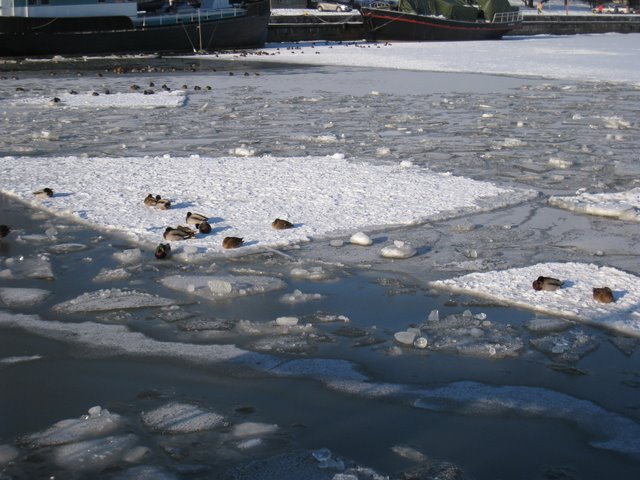 [IMG_1355-788950.JPG]
