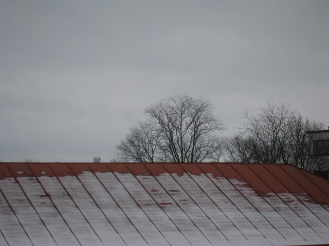 [IMG_1507-728248.JPG]