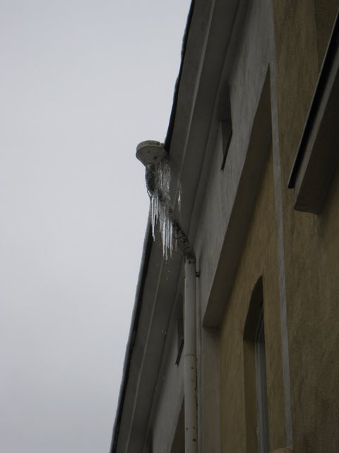 [IMG_1508-719498.JPG]
