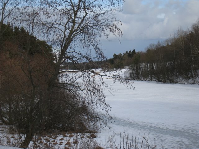 [IMG_1520-706958.JPG]
