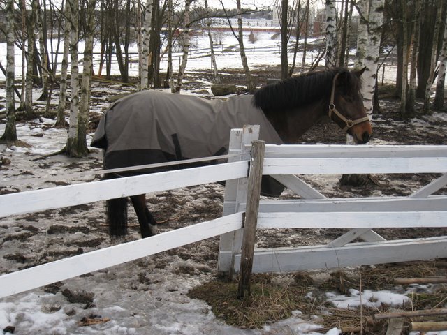 [IMG_1517-704488.JPG]