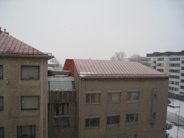 [IMG_1536-795537.JPG]