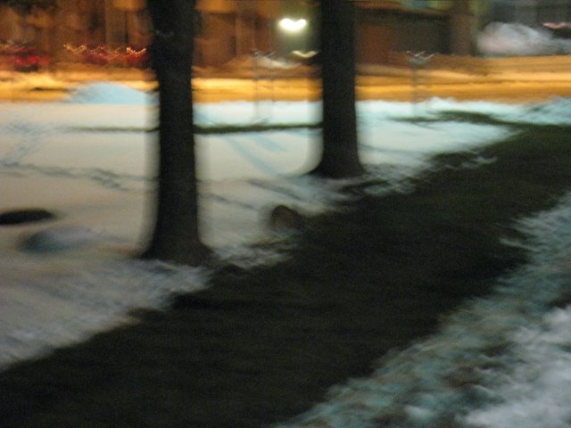 [IMG_1531-736075.JPG]