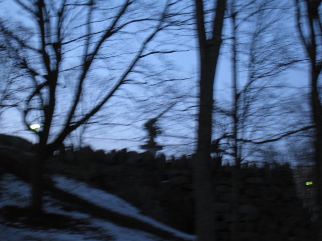 [IMG_1569-746922.JPG]