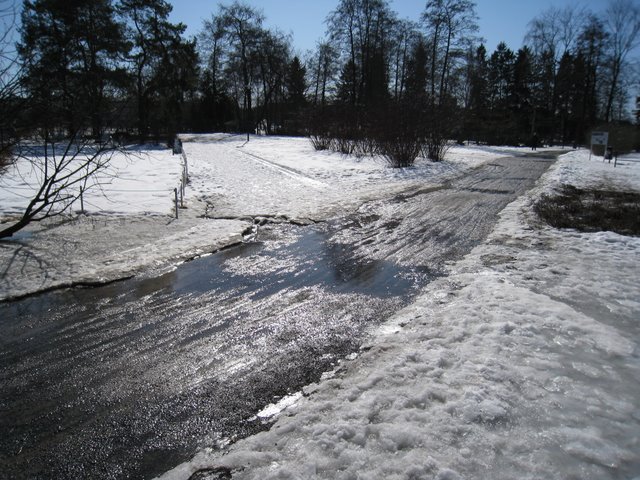 [IMG_1548-731369.JPG]