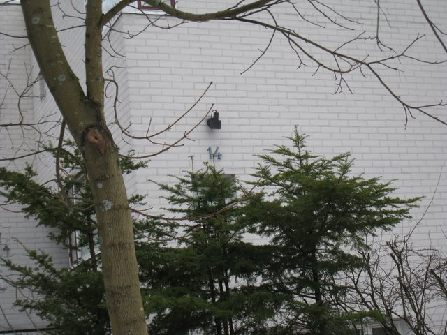 [IMG_1600-736062.JPG]