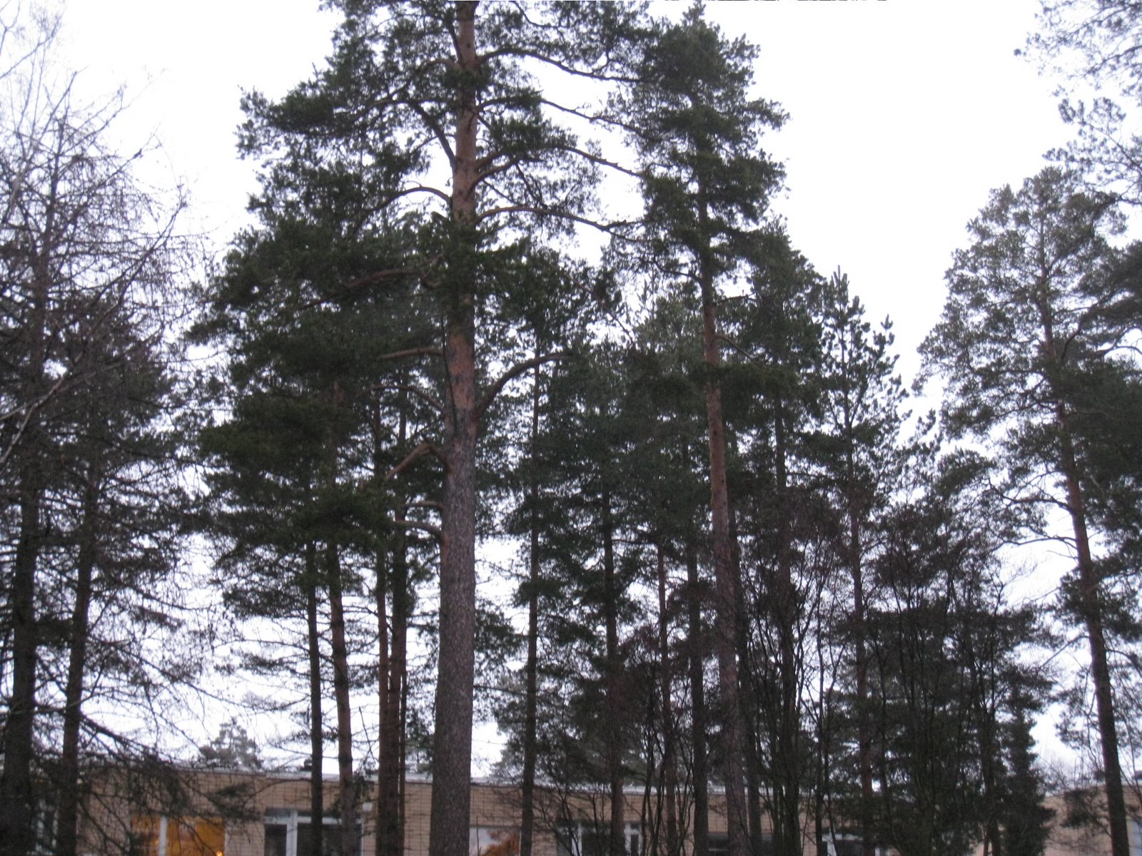 [IMG_1614-798985.JPG]