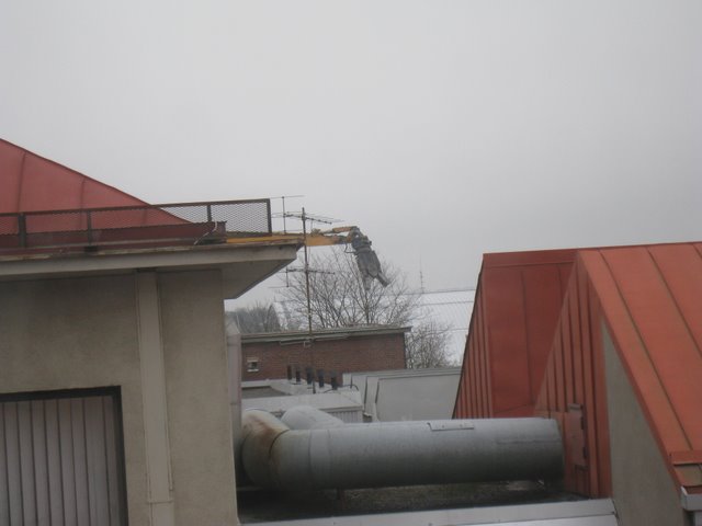 [IMG_1632-744074.JPG]