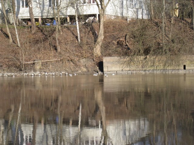 [IMG_1679-737025.JPG]
