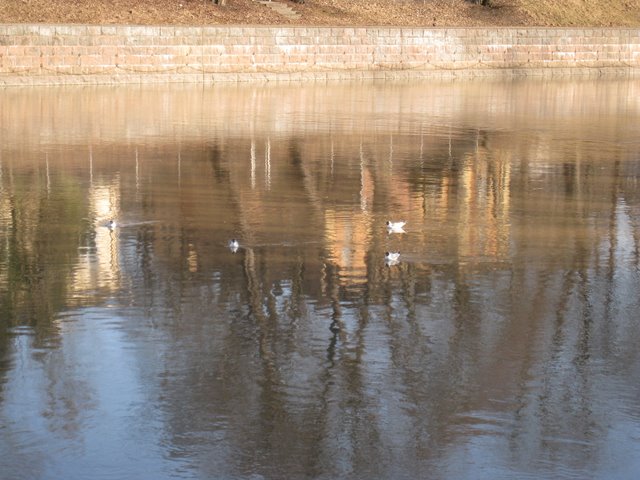[IMG_1683-769780.JPG]