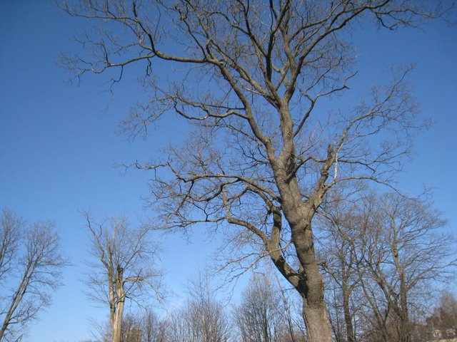 [IMG_1666-771509.JPG]