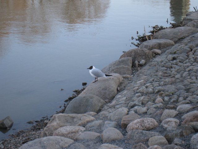 [IMG_1688-709699.JPG]
